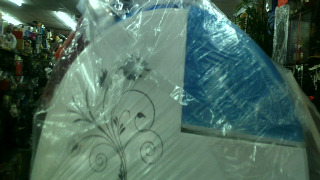 全新白朗掛燙機