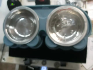 寵物