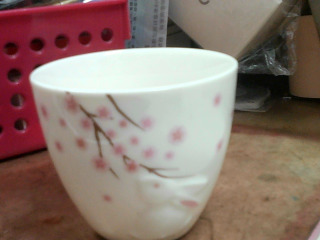 杯