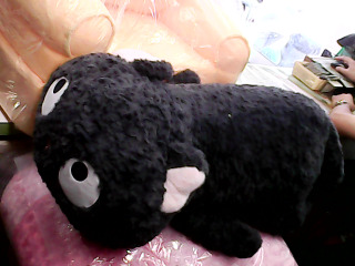 全新貓咪大抱枕