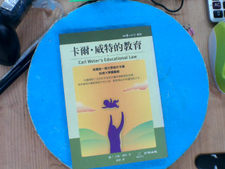 卡爾威特的教育