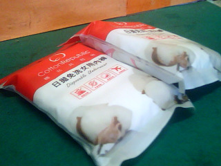 免洗女用內褲
