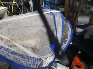 晾曬