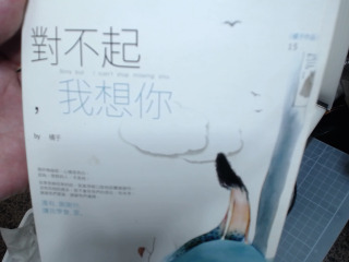 橘子對不起我想你