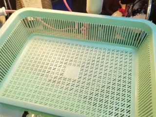 淺綠色長方瀝水籃