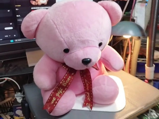 粉紅泰迪熊