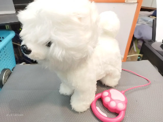 電動毛絨狗