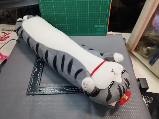貓咪抱枕