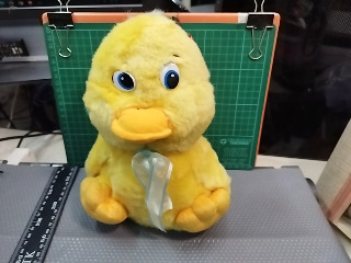 小鴨