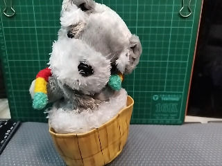 雪納瑞