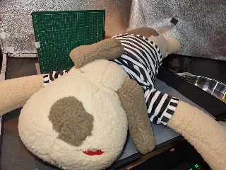 條紋衣大狗玩偶
