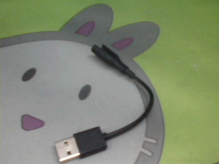 手錶充電線