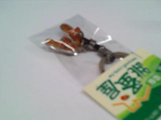 鑰匙圈
