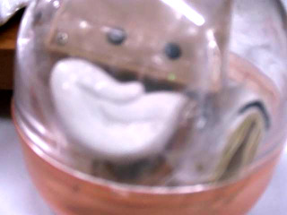 扭蛋