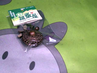胸針