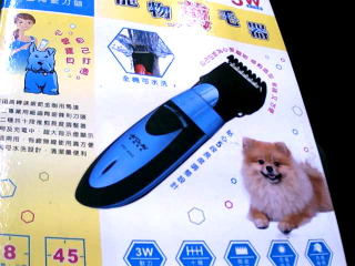 寵物剪
