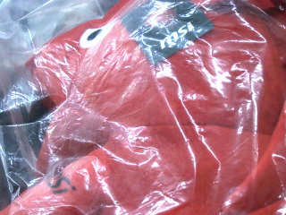 限量電競紅龍娃娃