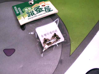 耳環