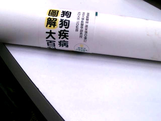 狗狗疾病圖解海報