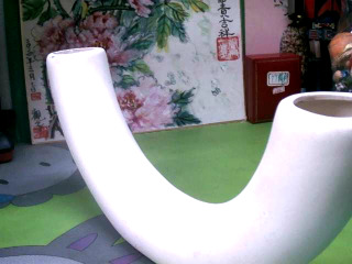 花盆