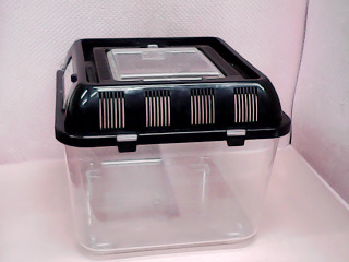 飼養盒