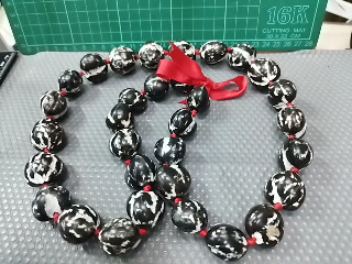 夏威夷石栗果