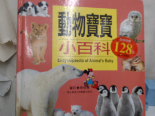 書