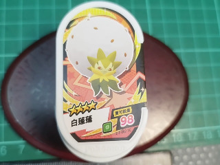 白蓬蓬