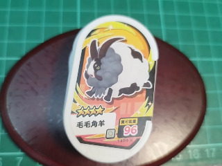 毛毛角羊