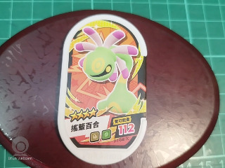 搖籃百合