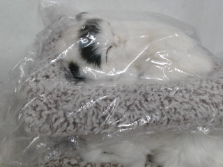 商品照片