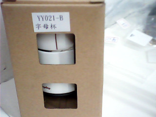 杯2入