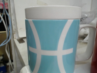 杯