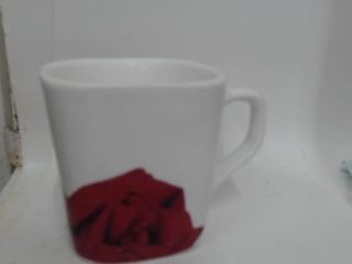 杯