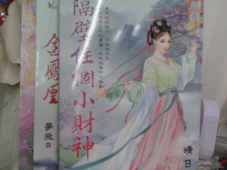 小說