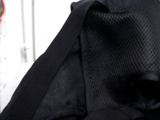 寵物背帶