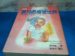 書嬰兒的感官世界