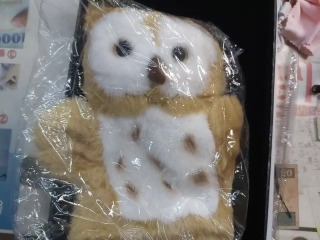 貓頭鷹手偶