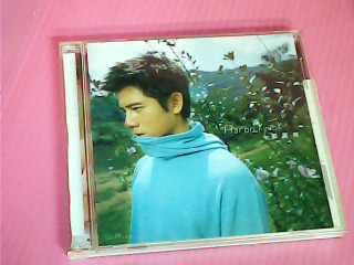 CD-郭富城