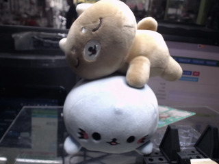 娃娃
