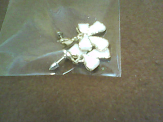 耳環