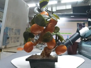 大吉大利橘子盆景