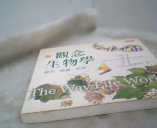 觀念生物