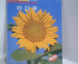 童書