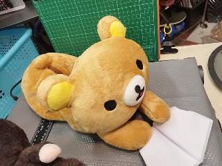 絨毛玩偶