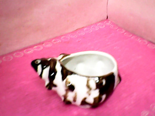 茶杯