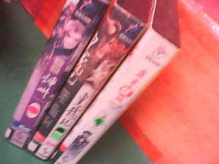 DVD-布袋戲