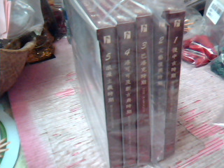 VCD5入