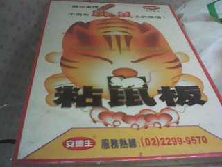 黏鼠板