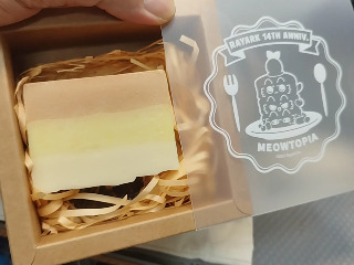 手工精油皂